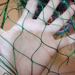 Lưới lồng bẫy cu