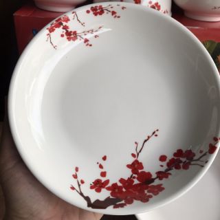 Bộ 7 món chén tô dĩa