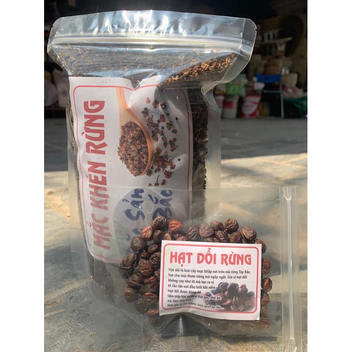 Hạt Dổi Rừng Tây Bắc 100G Gia Vị Ướp Món Thịt Nướng Đồ Chấm Chuẩn Vị Núi Rừng