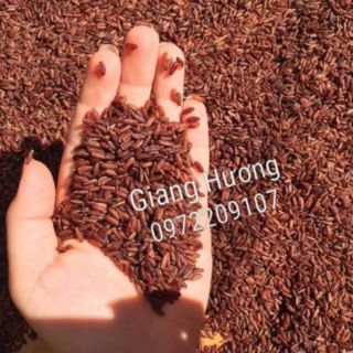 CỐM GẠO LỨC MÈ ĐEN RANG 250gr
