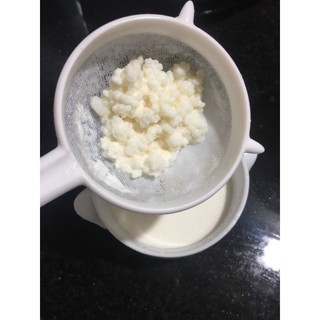 nấm kefir.nấm sữa chua 170k