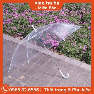 Ô trong - Áo mưa ô trong suốt Hàn Quốc cực dễ thương