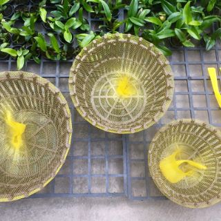 Túi lót chậu