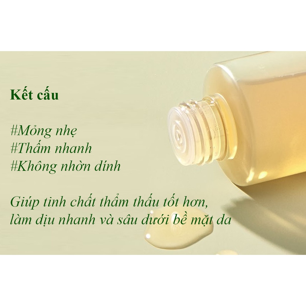 Toner Dịu da và Cân bằng da Ngải cứu FARM TO BEAUTY dành cho da mụn và da nhạy cảm - Mugwort Calming Balance Toner 88% | BigBuy360 - bigbuy360.vn