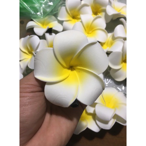 Kẹp Cài Tóc Hoa Đại
