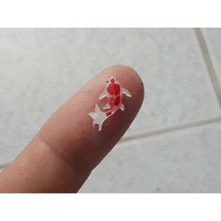 Phôi cá koi mini làm đồ handmade