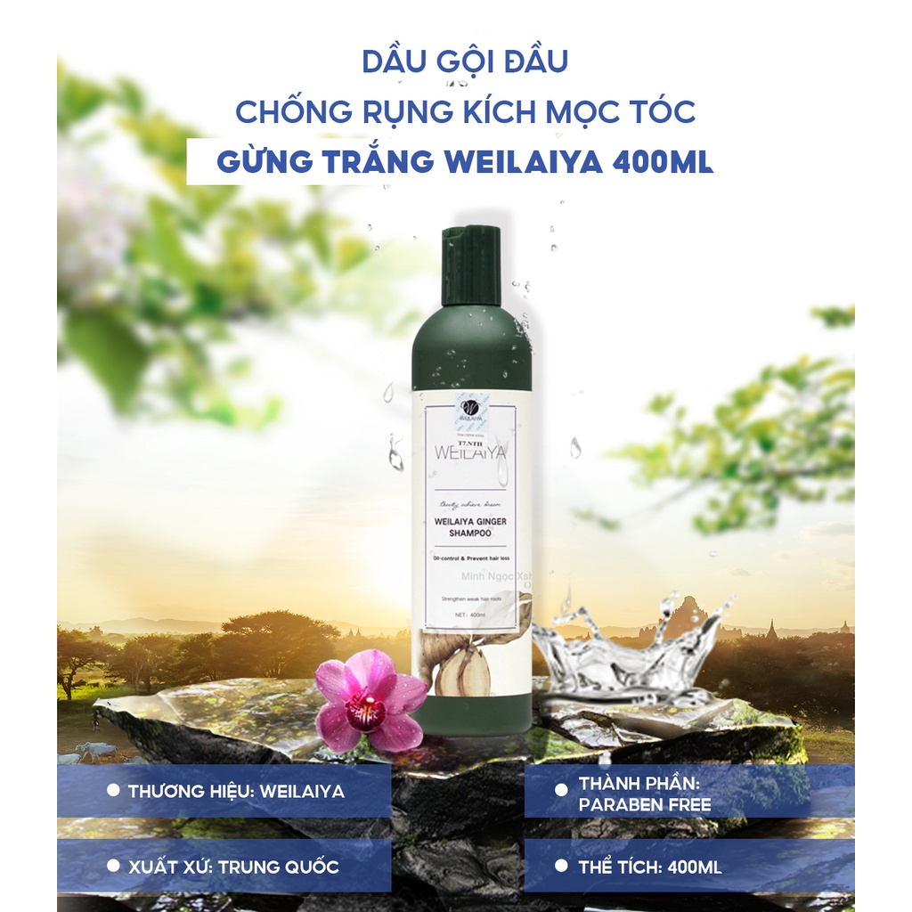 Dầu gội gừng trắng WEILAIYA GINGER SHAMPOO chống rụng kích mọc tóc 400ml