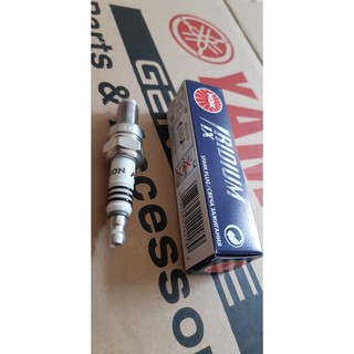 Bugi NGK Iridium zin Yamaha