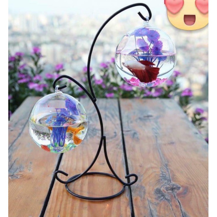 Bể cá mini giá treo X tròn 12 - Tặng tiểu cảnh