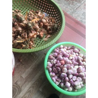 Hành ta phi thơm kinh môn 500g