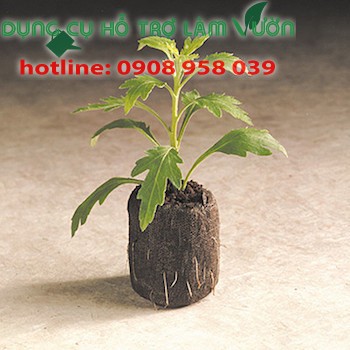 Viên nén xơ dừa ươm hạt set 10 viên dùng trồng thủy canh , ươm các loại hạt