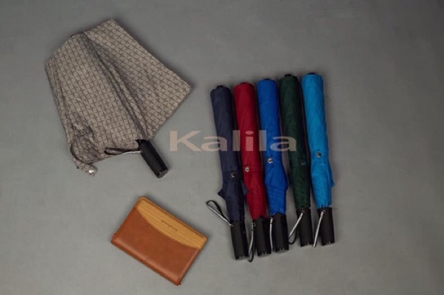 *Ô cao cấp Kalila gấp 2 bán tự động