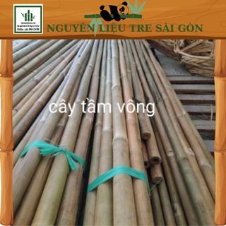 Cây tre tầm vông làm giàn dài 1m - nguyenlieutresaigon.com