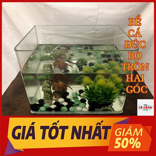 Bể Cá Cảnh Đúc Để Bàn ( 31cm x17cm x 20cm) Bo Tròn Hai Góc Cao Cấp