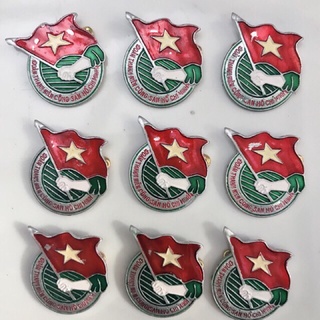 Huy hiệu đoàn cài áo thanh niên