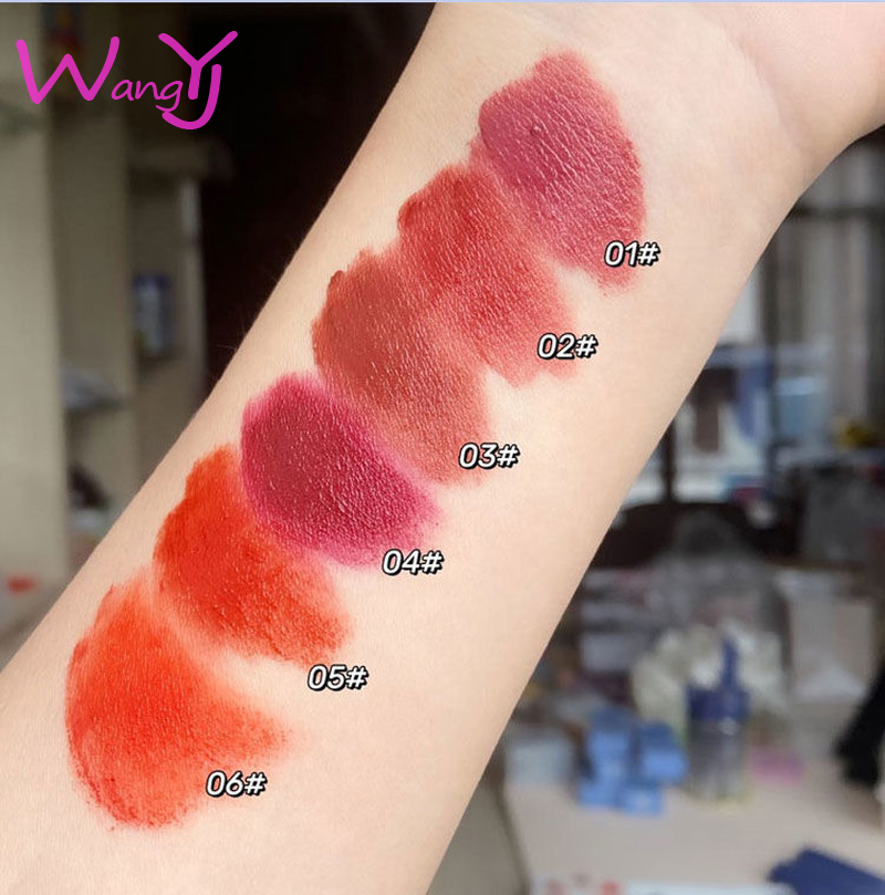 (Hàng Mới Về) Son Môi 6 Màu Tùy Chọn Chống Nước Không Phai Tiện Dụng | BigBuy360 - bigbuy360.vn