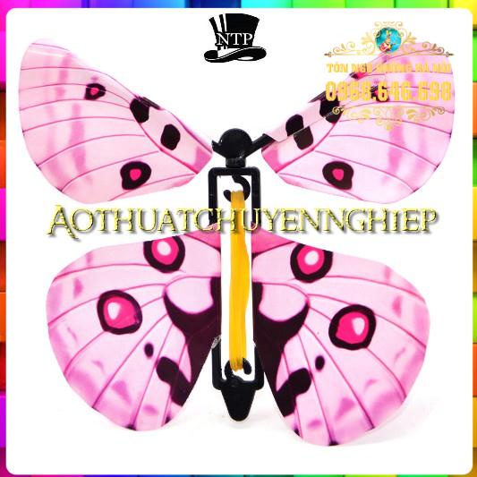 Ảo thuật bướm bay từ sách - Butterfly Magic Book  Set 5 con