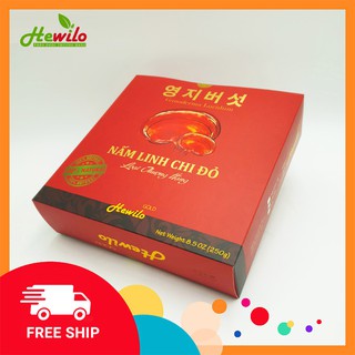 Nấm linh chi | cắt lát sẵn