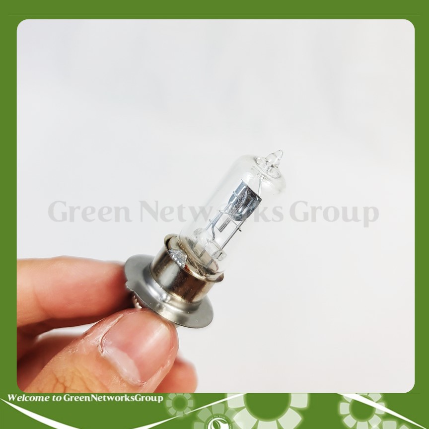 Bóng đèn pha Halogen Lightheart Chân M5 Chân H4 12V 35/35W P15d-25-1-20 Greennetworks