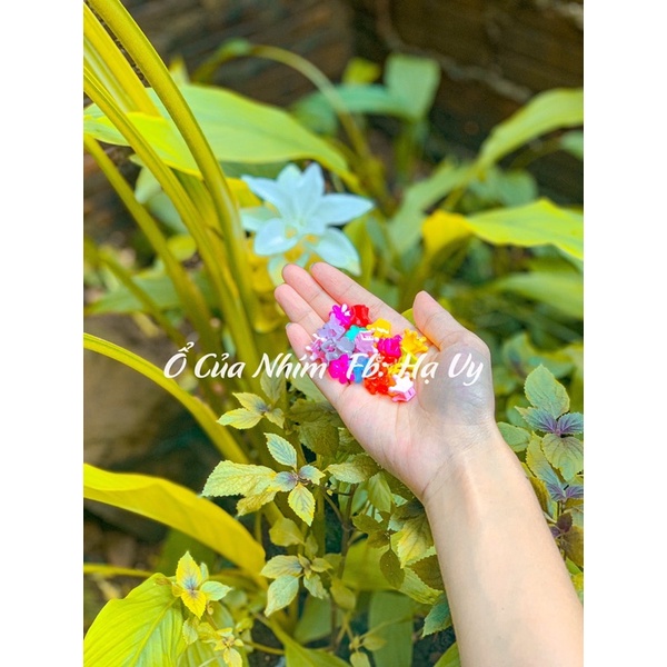 Hộp 50 kẹp càng cua mini cho bé yêu 🎀