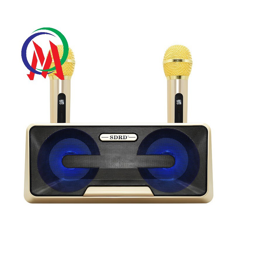 Loa Karaoke SDRD SD-301 kèm 2 mic không dây