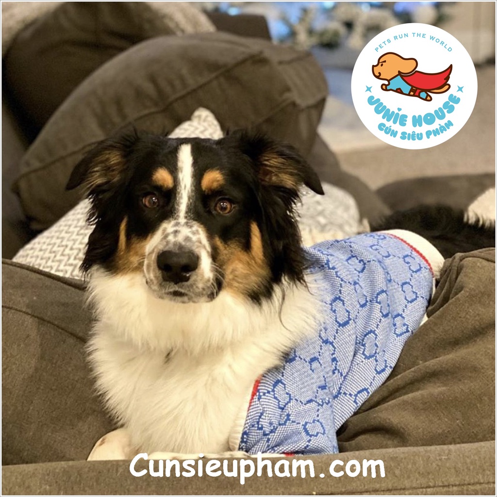 Áo len cardigan T.B xám sang trọng đồ Tết cho chó mèo