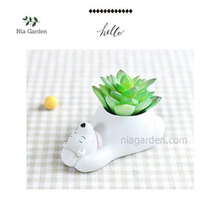 Chậu gấu trắng trồng cây cảnh, sen đá, chậu hình thú - CTK