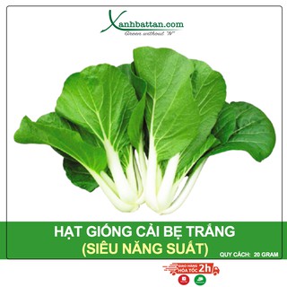 Hạt Giống Cải Bẹ Trắng Phú Nông Gói 20 Gram
