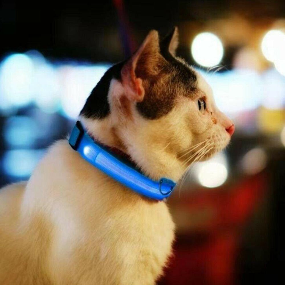 Vòng Cổ Nylon An Toàn Có Đèn LED Cho Thú Cưng