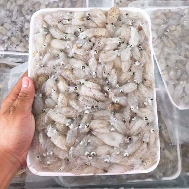 Mực sữa trứng mini - 1Kg