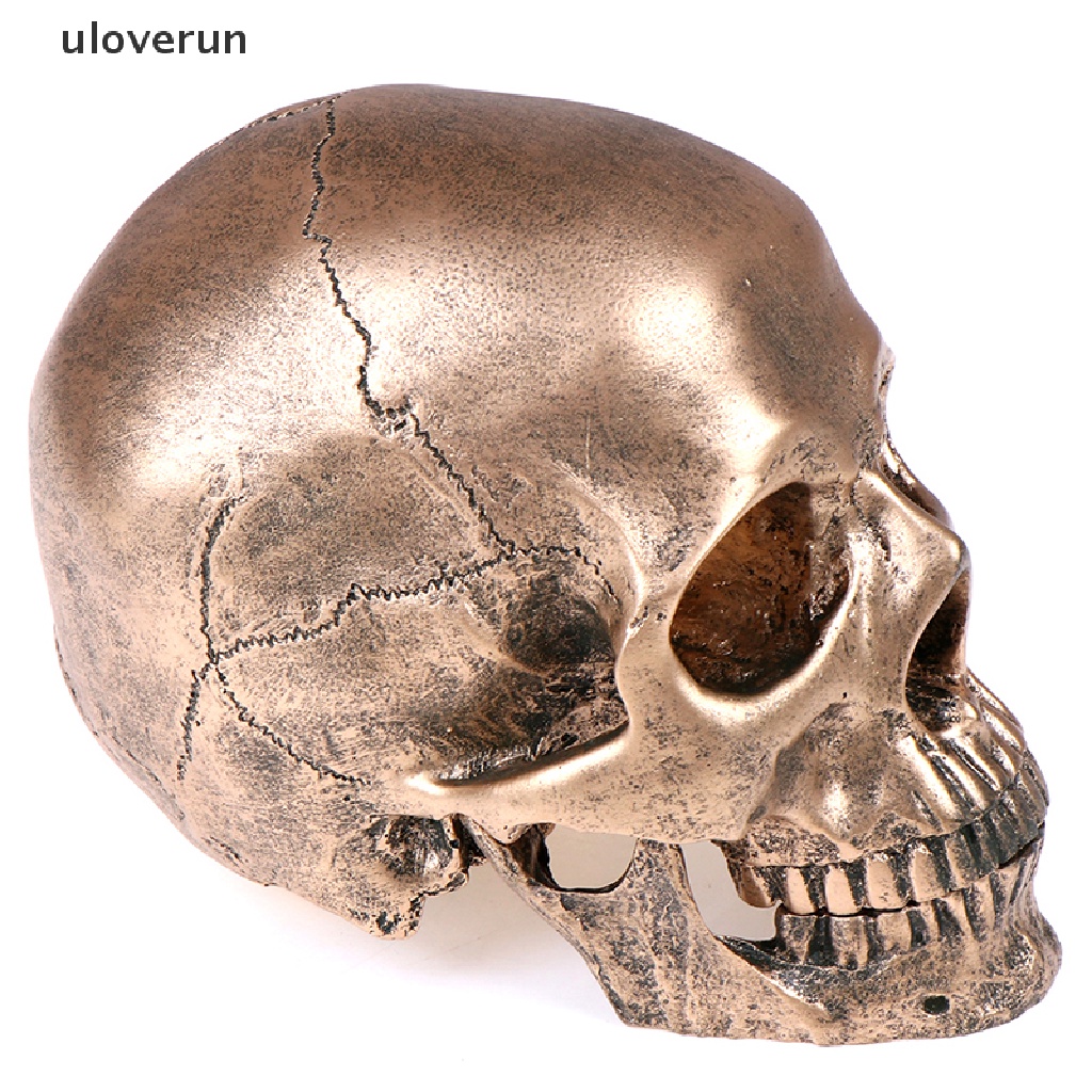 Mô Hình Đầu Lâu Người Bằng Nhựa Resin Đồng Tỉ Lệ 1: 1 Trang Trí Halloween