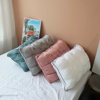 Ruột gối rúm lông vũ 4 Seasons
