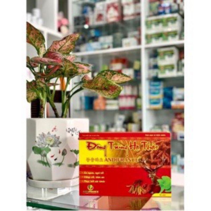 viên đông trùng hạ thảo ANDIFRANCE