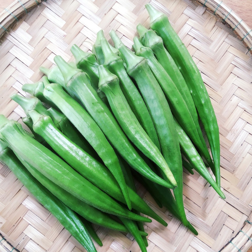 Hạt giống đậu bắp Ấn Độ năng suất cao 20g/gói giá rẻ