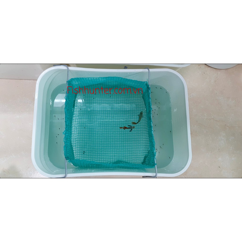 Lồng đẻ cho cá bảy màu - dùng cho khay nhựa 7 lít