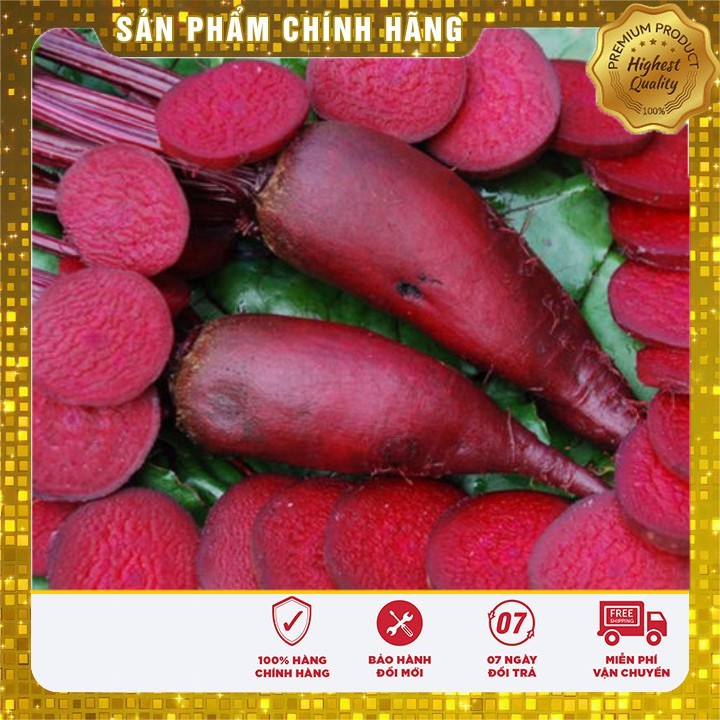 Hạt Giống Củ Dền Đỏ hạt giống cây củ dền trồng tại nhà ( 2 gram)