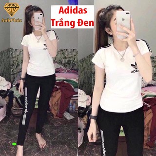 Đồ bộ mặc nhà mặc mát Anh Phúc + Cotton A