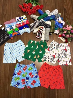 Quần chục bozip Catter loại 1