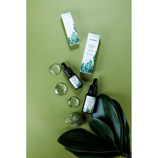 SERUM TẢO BIỂN - SEAWEED SERUM