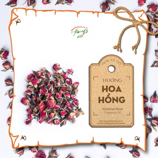 Hương hoa hồng