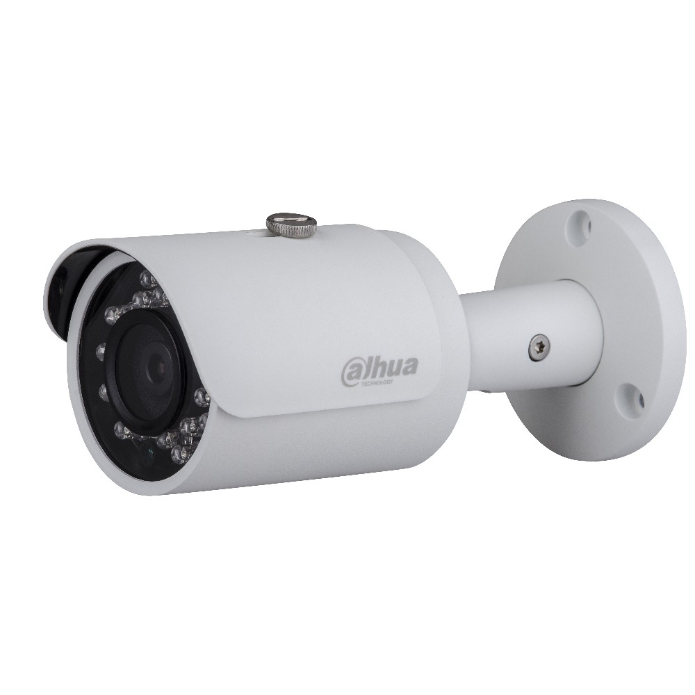 CAMERA IP DAHUA DS2300FIP - Tem DSS Việt Nam