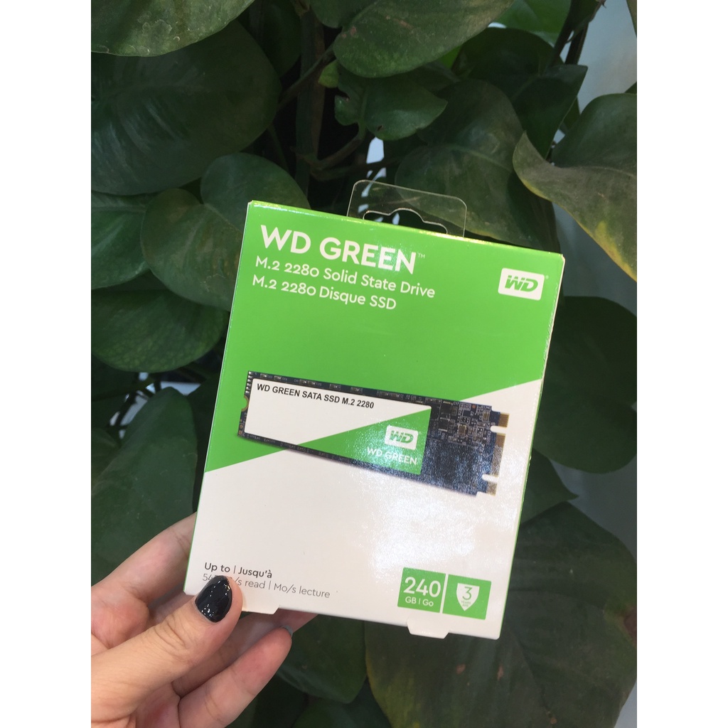Ổ CỨNG SSD 240GB M.2 2280 SATA III – WD Green | BigBuy360 - bigbuy360.vn