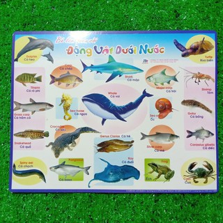 Tranh hình ảnh cho bé