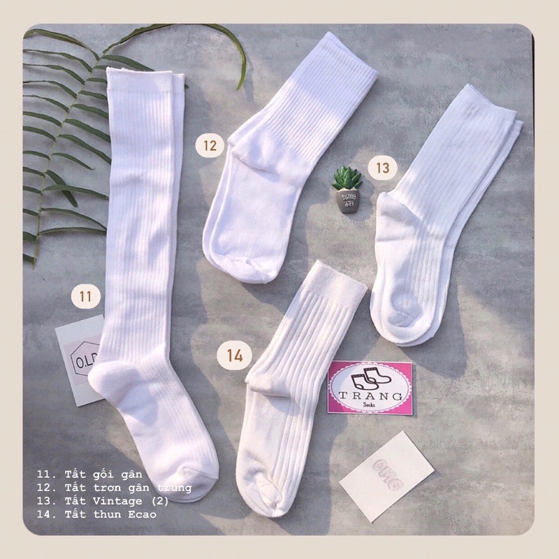 Tất trơn tone màu trắng  - Trangsocks