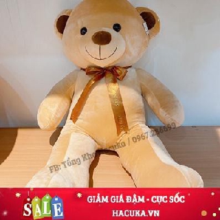 Gấu bông  mồm thêu Teddy