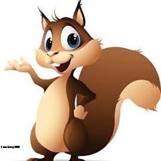 SHOPMESOC-SOSINHCHOBE