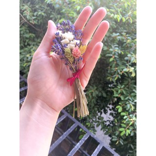 Lọ nụ hoa Lavender Pháp  trang trí (như hình)