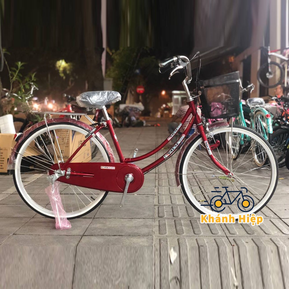 Xe Đạp Mini Việt Nhật
