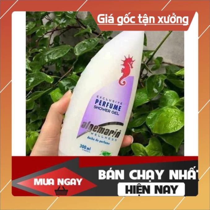 Sữa Tắm Cá Ngựa Cao Cấp Hương Hoa Hồng Giữ Ẫm Hương Thơm Cực Lâu - làm đẹp cho làn da và vệ sinh cơ thể | BigBuy360 - bigbuy360.vn