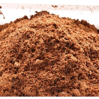 Mụn xơ dừa đã qua xử lý gói 5dm3